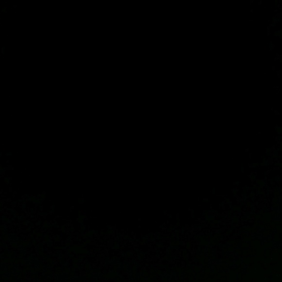 Meet your Posher, Lavell - Picture 1 of 1